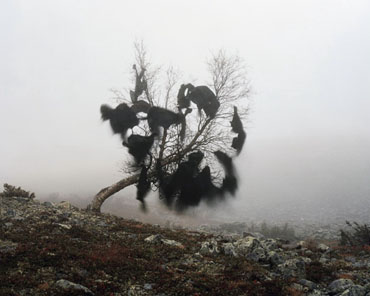 Riitta Pivlinen, Winds Nest, 2004